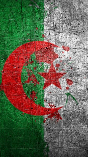 The Algeria flag with a grunge texture and scratches on a rough wall, HD Phone Wallpaper