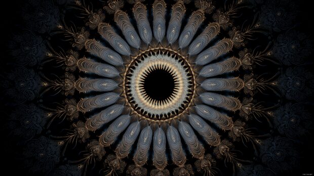 Animation images desktop graphics, intricate mandala patterns that expand and contract in a rhythmic way.