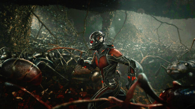 Ant Man Running Through a Giant Ant Colony Stunning Ant Man Wallpapers