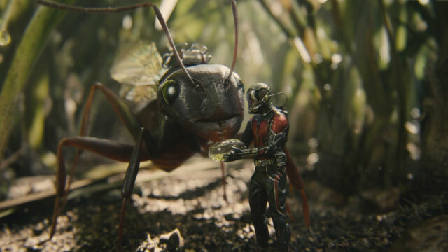 Ant Man Standing Next to a Giant Ant in Detailed Forest Scene Wallpaper