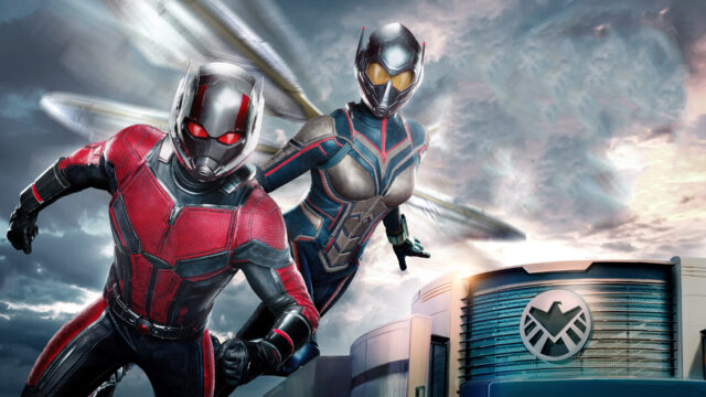 Ant Man and The Wasp Action Pose Ant Man Wallpapers High Quality Background