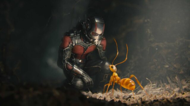 Ant Man interacting with a giant ant in detailed close up Ant Man wallpapers