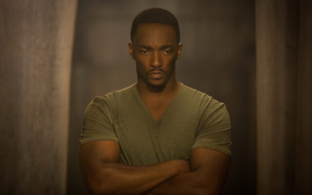 Anthony Mackie Intense Look Wallpaper