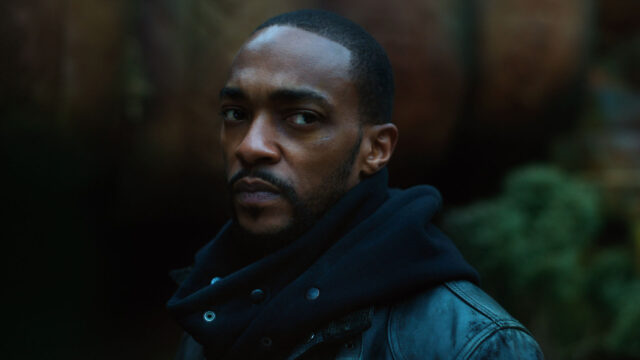Anthony Mackie Intense Look Wallpaper HD