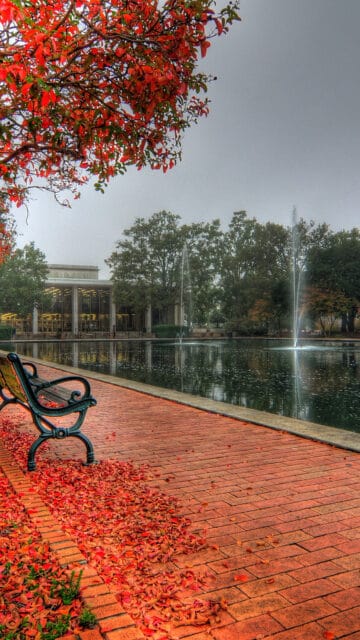Autumn Park Scene with Red Leaves and Fountain South Carolina Wallpapers