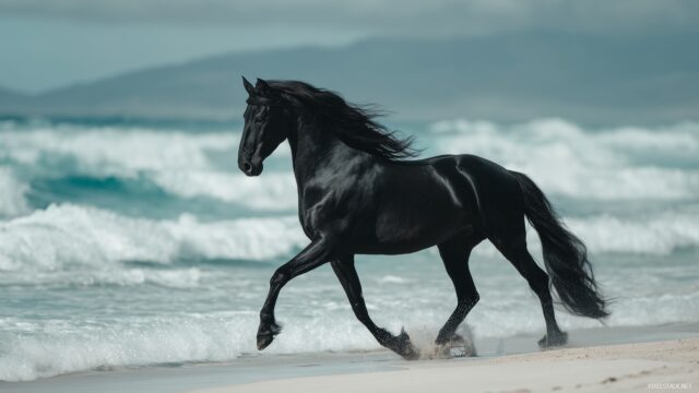 Black Horse Ultra HD Desktop Wallpaper, A Graceful Black Horse Trotting Along A Sandy Beach, Waves Gently Crashing In The Background