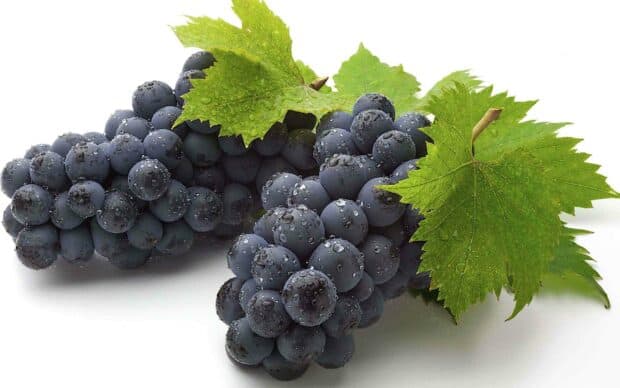 A close up view of black grapes with fresh green leaves covered in water droplets on a white background, 2K Desktop Wallpaper