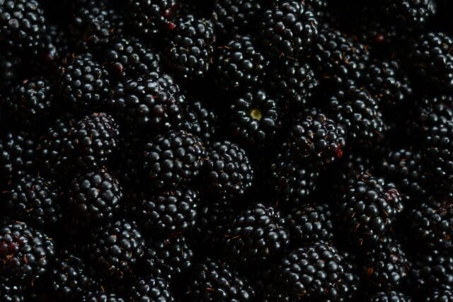 Blackberry Wallpapers Close Up Fresh Ripe Blackberries Texture Background