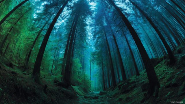 Blue Green Wide Screen Desktop Wallpaper, A Panoramic View Of A Forest In Blue And Green, Enhancing Any Wide Screen Display