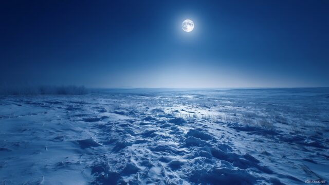 Blue Winter Wallpaper HD, An Expansive Field Of Powdery Snow Illuminated By The Moonlight, Creating A Serene Blue Ambiance