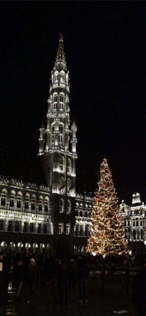 A nighttime scene in Brussels features a lit Christmas tree and illuminated historic buildings, 2K Mobile Wallpaper