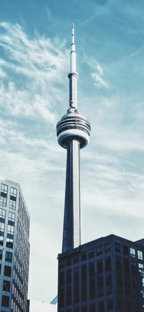 The CN Tower in Toronto rises above surrounding buildings against a clear sky, HD Phone Wallpaper