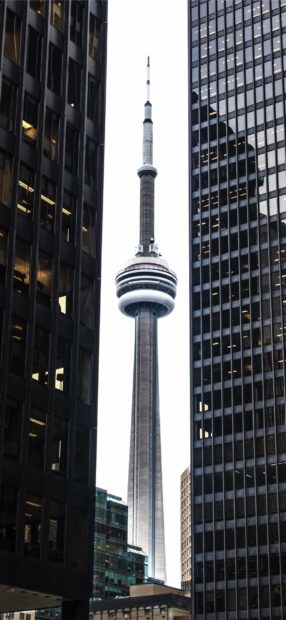 The CN Tower stands tall between city skyscrapers in Canada, HD Phone Wallpaper