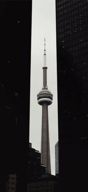 The CN Tower in Canada stands tall among city buildings on a cloudy day, HD Mobile Wallpaper