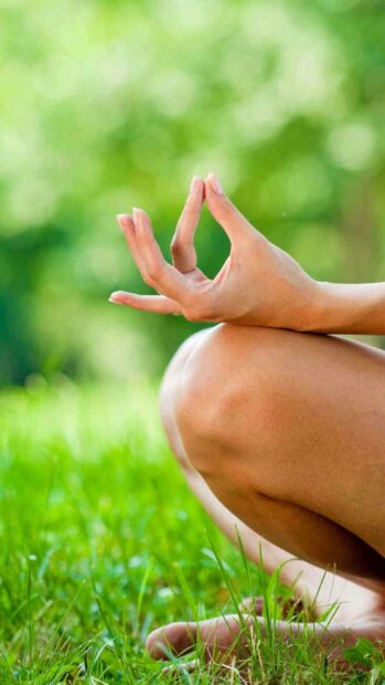 A person practicing yoga with a mudra hand gesture surrounded by green grass and foliage, HD Phone Wallpaper