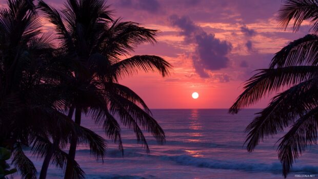 Cancun Sunsets Wallpapers, A captivating sunset over the ocean, highlighting the beauty of a Cancun evening with silhouettes of palm trees.