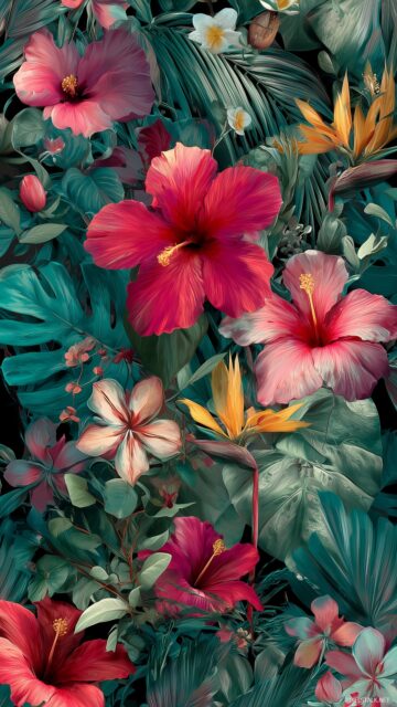 Cell Phone Wallpaper, A Vibrant Floral Pattern With Tropical Flowers And Lush Greenery For A Refreshing Phone Wallpaper