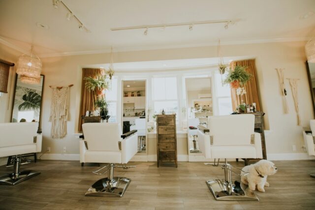 Chic Hair Salon Interior With Modern Decor And Plants