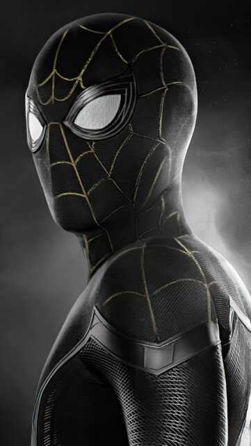 Dark Spider Man Suit Close Up Wallpaper SEO Friendly