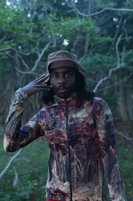Dev Hynes Nature Inspired Portrait For Wallpaper Use