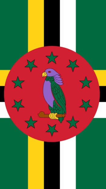 The Dominica flag features a Sisserou parrot surrounded by stars on colored stripes, HD Phone Wallpaper
