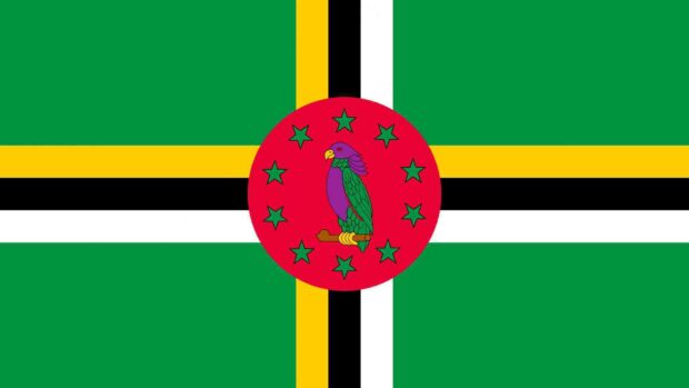 The Dominica flag features a parrot surrounded by ten stars on a cross background, HD Desktop Wallpaper