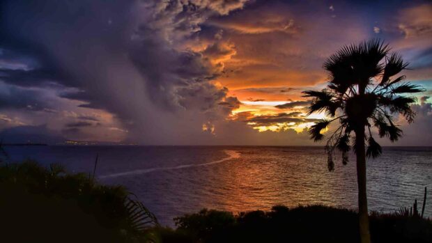A stunning view of Dominica features a palm tree silhouette against a vibrant sunset over the ocean with dramatic clouds, HD Desktop Wallpaper