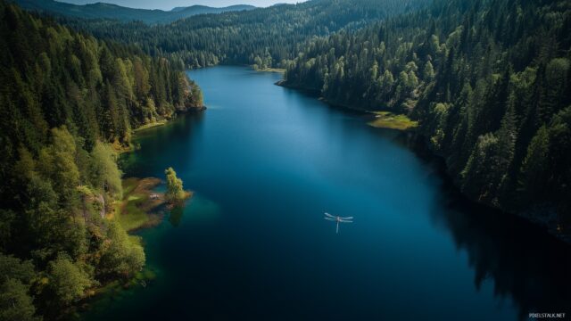 Dragonfly Desktop Background High Resolution, A Stunning Aerial View Of A Tranquil Lake With A Dragonfly Gliding Gracefully Above The Water
