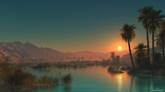 Dual Monitor Background Serene Landscapes, Quiet Desert Oasis With Palm Trees And A Stunning Sunset Casting Dramatic Shadows