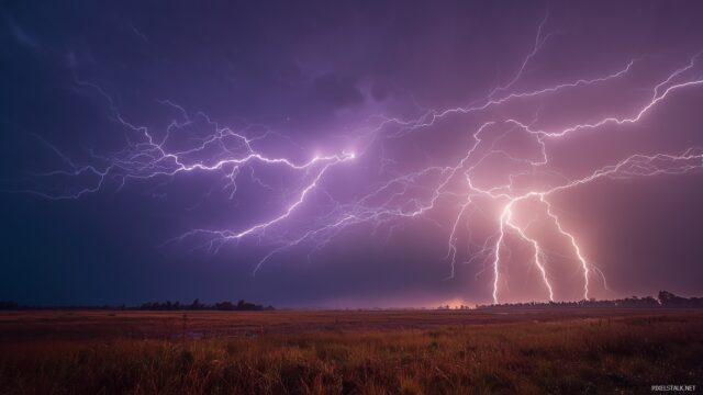 Dynamic Lightning HD Background, A Captivating Scene Of A Thunderstorm With Intricate Lightning Flashes Over An Open Field