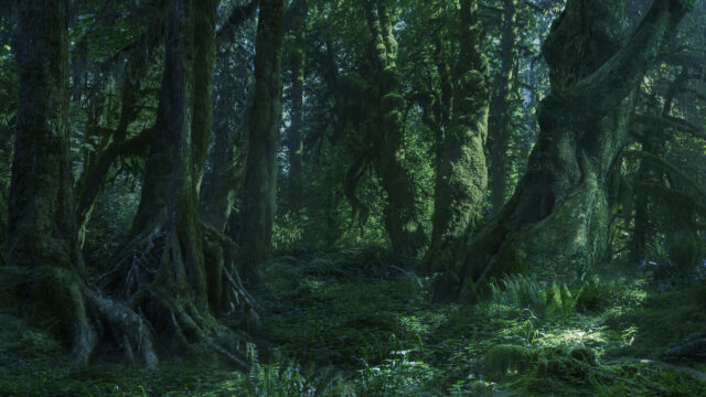 Enchanted Forest Wallpaper Captures Fangorn Magic