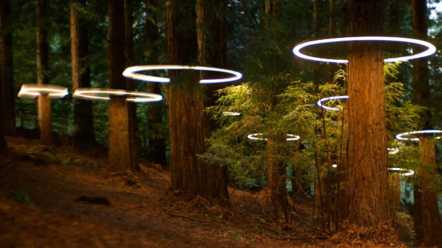 Enigmatic Forest Light Rings In Devs TV Series Wallpaper