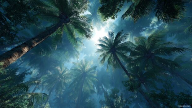 Exotic palm tree backgrounds, a mysterious jungle with towering palm trees and dappled sunlight filtering through the leaves.