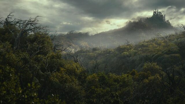 Fangorn Forest Mysterious Landscape Wallpaper In Misty Twilight