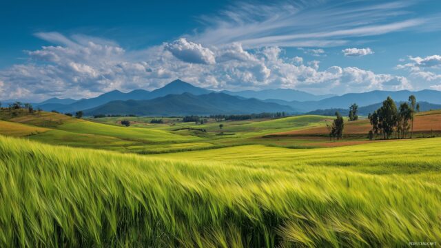 Farming wallpaper HD landscape, a picturesque view of farmland with crops swaying in the breeze and a distant mountain range.