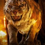 Fierce Tiger from The Jungle Book Movie Wallpapers in Dark Fiery Forest Setting