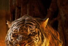 Fierce Tiger from The Jungle Book Movie Wallpapers in Dark Fiery Forest Setting