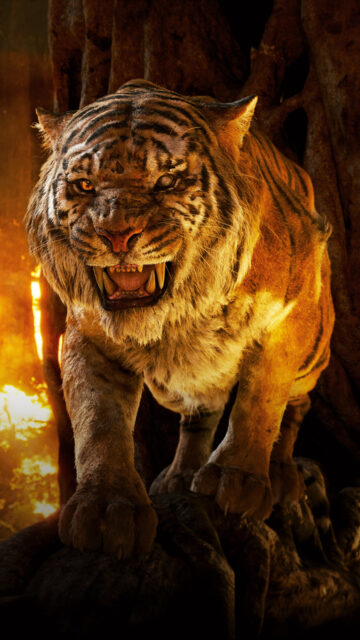 Fierce Tiger from The Jungle Book Movie Wallpapers in Dark Fiery Forest Setting