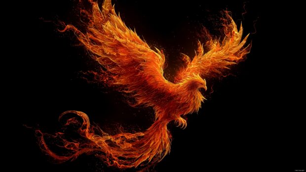 Fire phoenix bird wallpapers, a striking composition of a phoenix with flames intricately designed, creating a dramatic visual in vibrant detail.