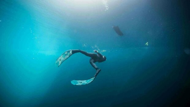 A freediver swims deep underwater with long fins in a clear blue ocean, HD Desktop Wallpaper