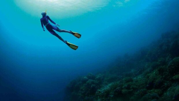 A freediver swims gracefully above the coral reef in clear blue water, HD Desktop Wallpaper