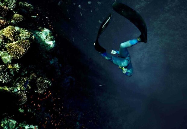A freediver explores colorful coral reefs underwater with various fish, HD Desktop Wallpaper