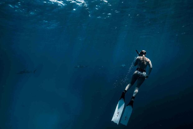 A freediver swims calmly near sharks under the deep blue ocean water, HD Desktop Wallpaper