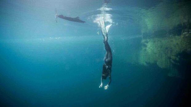 A freediver descends into the deep blue sea with fins and wetsuit, HD Desktop Wallpaper