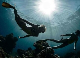 Two freedivers exploring underwater coral reefs with sun rays above, HD Desktop Wallpaper