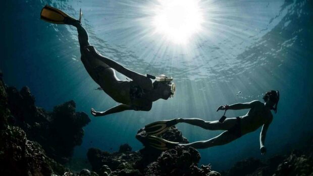 Two freedivers exploring underwater coral reefs with sun rays above, HD Desktop Wallpaper