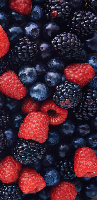 Fresh Blackberries Blueberries And Raspberries Close Up For Blackberry Wallpapers