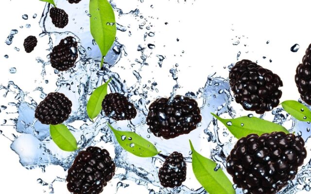 Fresh Blackberries Splash With Green Leaves On White Background For Blackberry Wallpapers