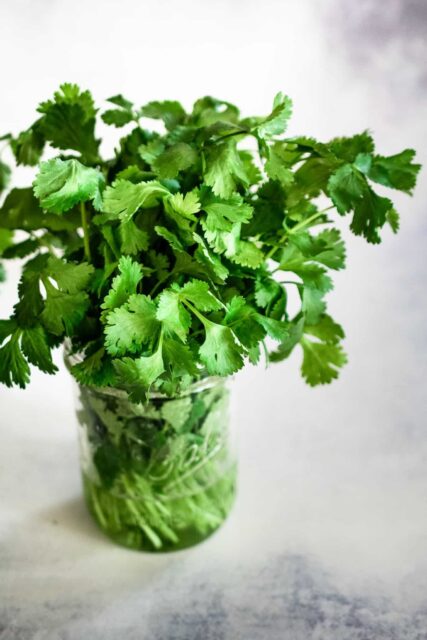 Fresh Cilantro in Glass Jar Minimalist Wallpaper for Kitchen and Food Lovers