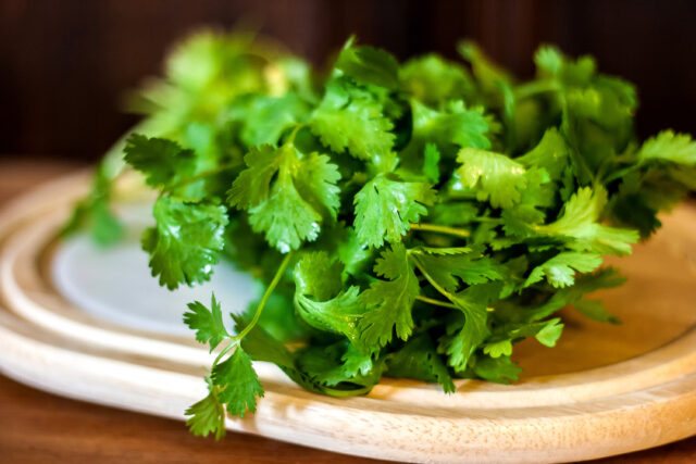 Fresh Green Cilantro on Wooden Plate High Quality Wallpapers for Kitchen Decor
